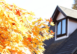 軽井沢の秋